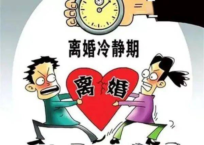律师行业动态:袁向荣的最新观点与见解
